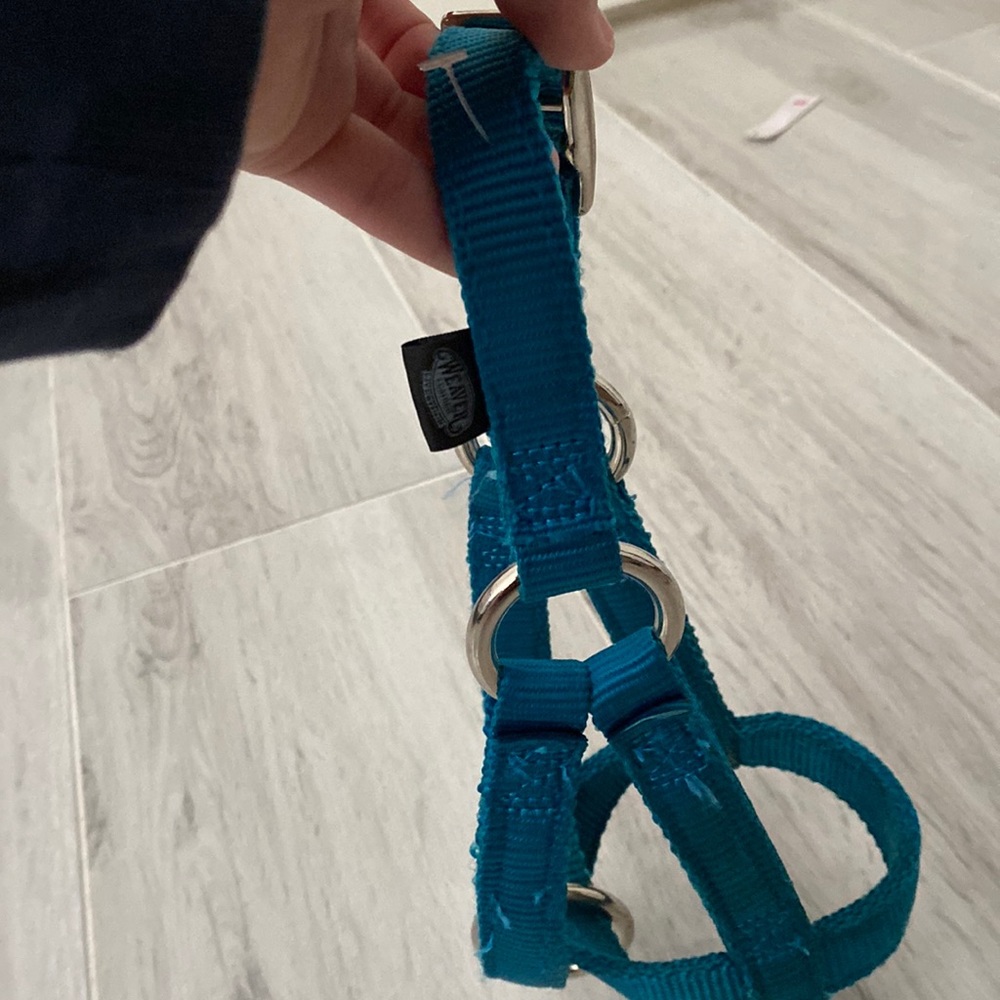 Goat halter